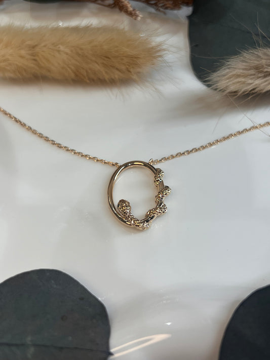 COLLIER SARAH