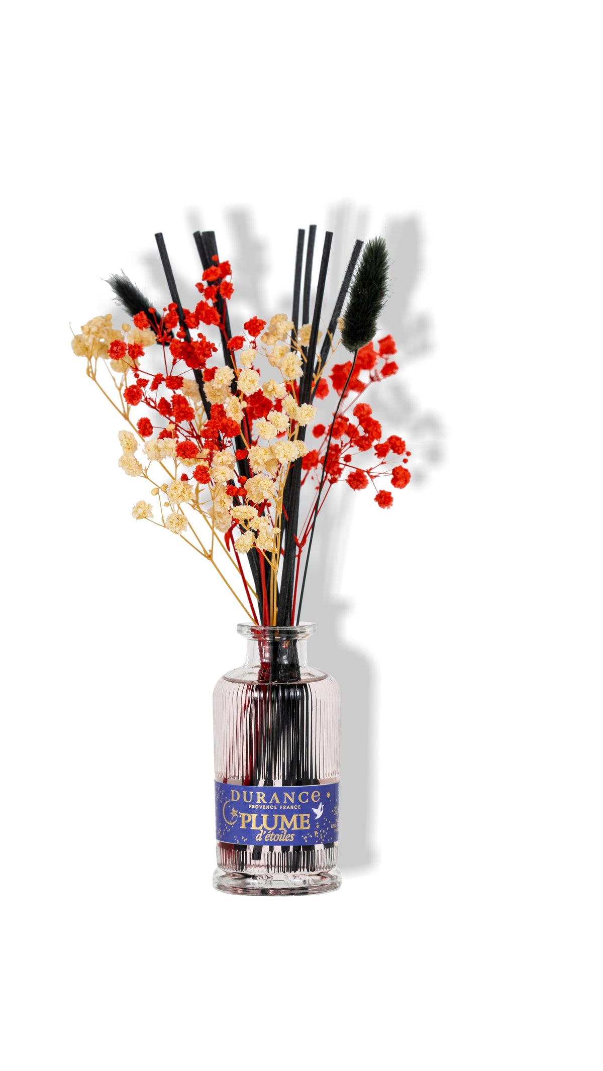 DIFFUSEUR FLEURS SÉCHÉES PLUMÉ D’ÉTOILE