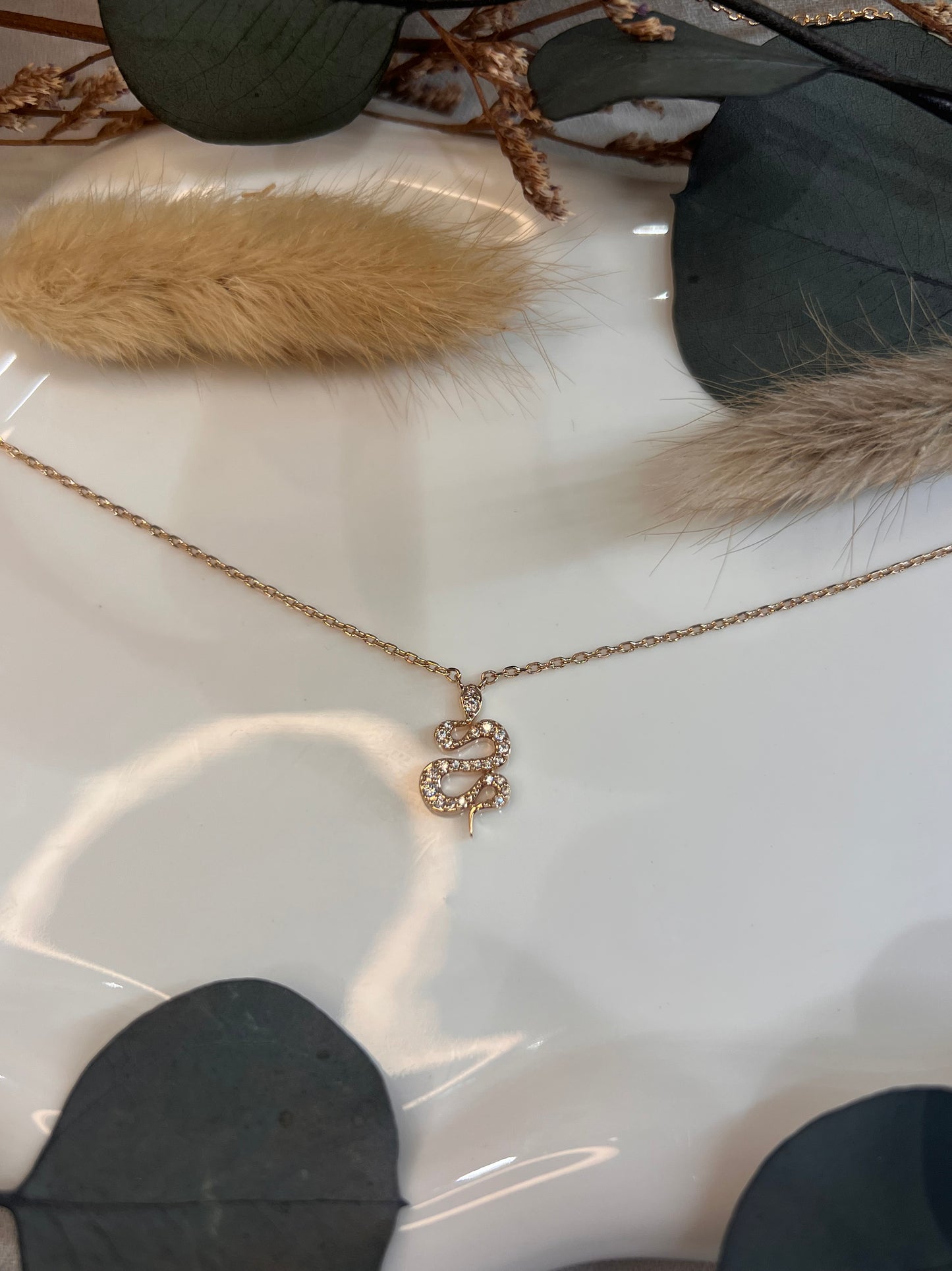 COLLIER MEGHAN