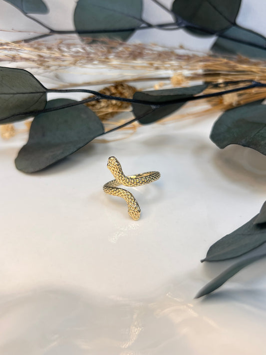 BAGUE AMINA