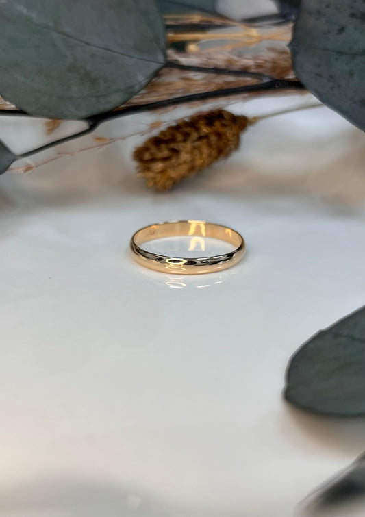 BAGUE NELSON