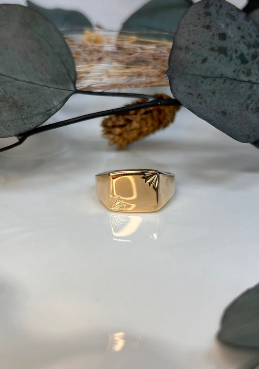BAGUE JIM