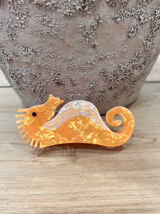 PINCE HIPPOCAMPE