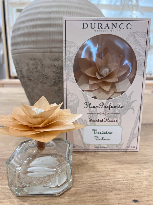 Fleur parfumée Verveine